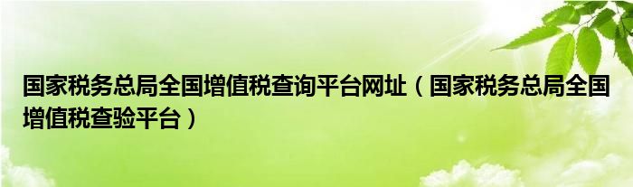 国家税务总局全国增值税查询平台网址（国家税务总局全国增值税查验平台）