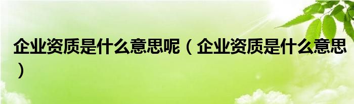 企业资质是什么意思呢（企业资质是什么意思）