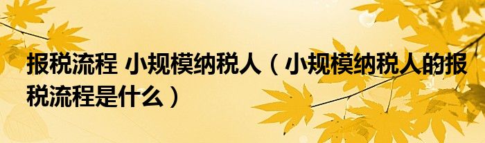 报税流程 小规模纳税人（小规模纳税人的报税流程是什么）