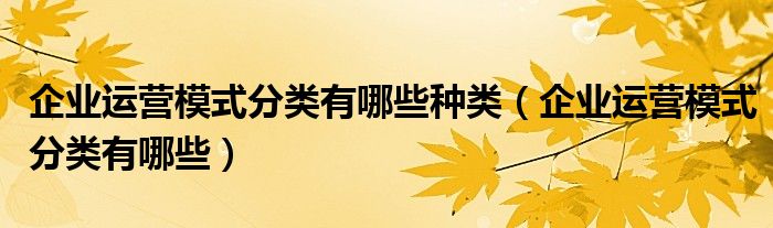 企业运营模式分类有哪些种类（企业运营模式分类有哪些）