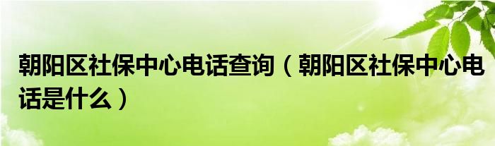 朝阳区社保中心电话查询（朝阳区社保中心电话是什么）