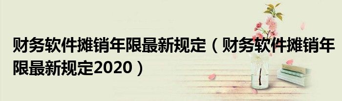 财务软件摊销年限最新规定（财务软件摊销年限最新规定2020）