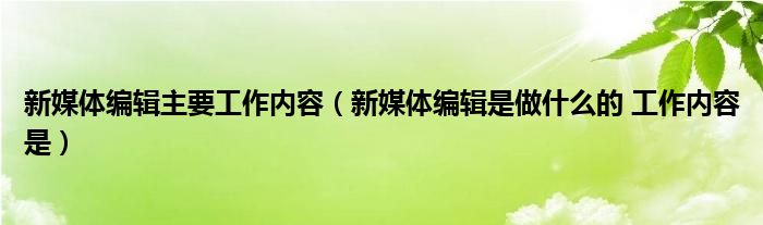 新媒体编辑主要工作内容（新媒体编辑是做什么的 工作内容是）