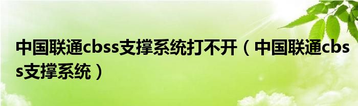 中国联通cbss支撑系统打不开（中国联通cbss支撑系统）