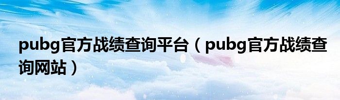 pubg官方战绩查询平台（pubg官方战绩查询网站）