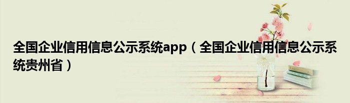 全国企业信用信息公示系统app（全国企业信用信息公示系统贵州省）