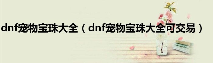 dnf宠物宝珠大全（dnf宠物宝珠大全可交易）