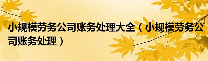 小规模劳务公司账务处理大全（小规模劳务公司账务处理）