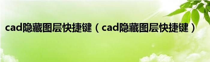 cad隐藏图层快捷键（cad隐藏图层快捷键）