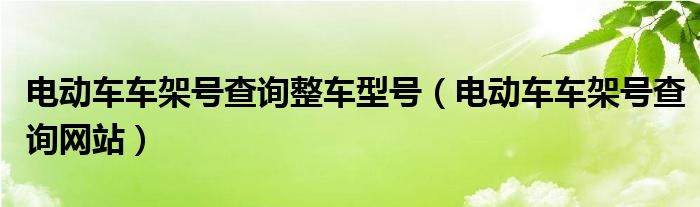 电动车车架号查询整车型号（电动车车架号查询网站）