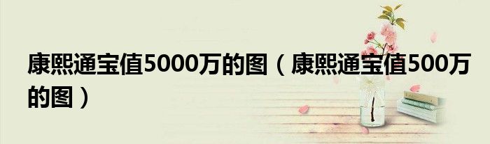 康熙通宝值5000万的图（康熙通宝值500万的图）