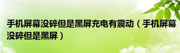 手机屏幕没碎但是黑屏充电有震动（手机屏幕没碎但是黑屏）