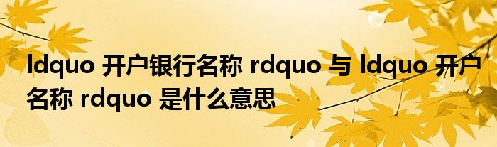 ldquo 开户银行名称 rdquo 与 ldquo 开户名称 rdquo 是什么意思