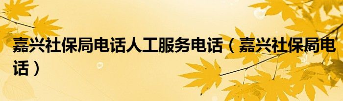 嘉兴社保局电话人工服务电话（嘉兴社保局电话）