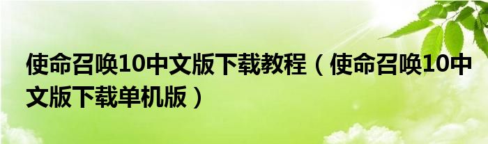 使命召唤10中文版下载教程（使命召唤10中文版下载单机版）