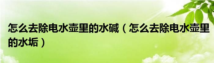 怎么去除电水壶里的水碱（怎么去除电水壶里的水垢）