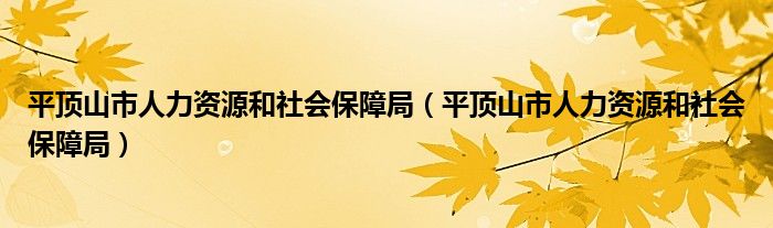 平顶山市人力资源和社会保障局（平顶山市人力资源和社会保障局）