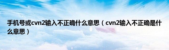 手机号或cvn2输入不正确什么意思（cvn2输入不正确是什么意思）