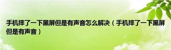 手机摔了一下黑屏但是有声音怎么解决（手机摔了一下黑屏但是有声音）