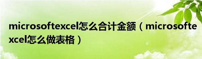 microsoftexcel怎么合计金额（microsoftexcel怎么做表格）