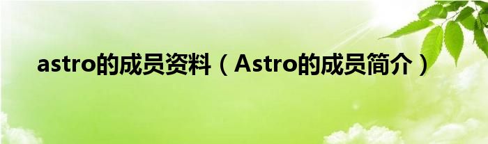 astro的成员资料（Astro的成员简介）