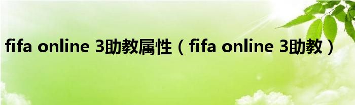 fifa online 3助教属性（fifa online 3助教）