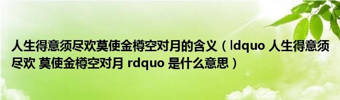 人生得意须尽欢莫使金樽空对月的含义（ldquo 人生得意须尽欢 莫使金樽空对月 rdquo 是什么意思）