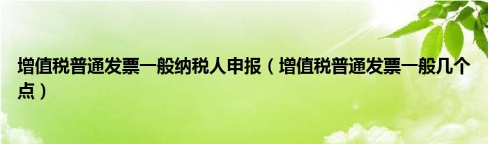 增值税普通发票一般纳税人申报（增值税普通发票一般几个点）