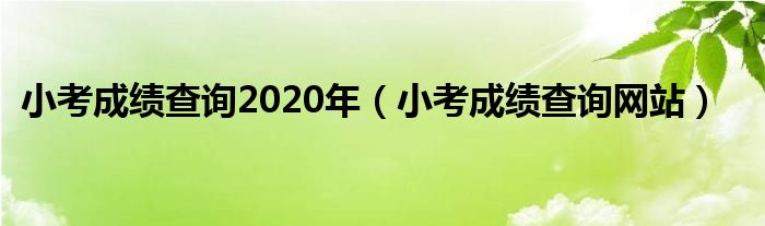 小考成绩查询2020年（小考成绩查询网站）