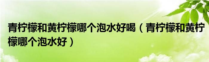 青柠檬和黄柠檬哪个泡水好喝（青柠檬和黄柠檬哪个泡水好）