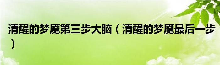 清醒的梦魇第三步大脑（清醒的梦魇最后一步）