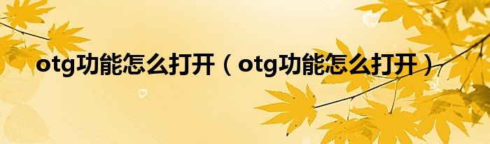 otg功能怎么打开（otg功能怎么打开）