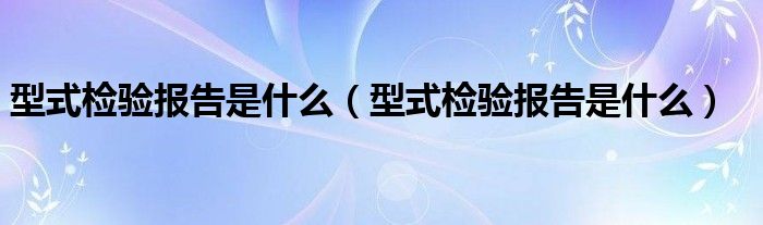 型式检验报告是什么（型式检验报告是什么）