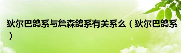 狄尔巴鸽系与詹森鸽系有关系么（狄尔巴鸽系）