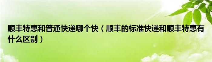 顺丰特惠和普通快递哪个快（顺丰的标准快递和顺丰特惠有什么区别）