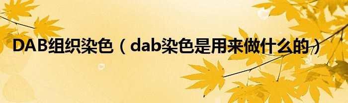 DAB组织染色（dab染色是用来做什么的）