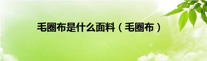 毛圈布是什么面料（毛圈布）