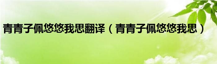 青青子佩悠悠我思翻译（青青子佩悠悠我思）