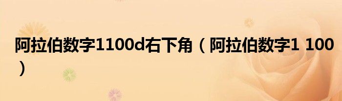 阿拉伯数字1100d右下角（阿拉伯数字1 100）