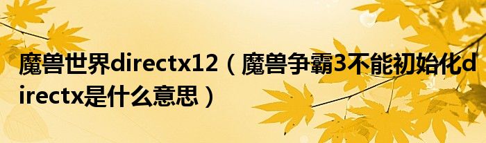 魔兽世界directx12（魔兽争霸3不能初始化directx是什么意思）