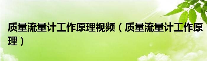 质量流量计工作原理视频（质量流量计工作原理）