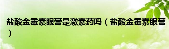 盐酸金霉素眼膏是激素药吗（盐酸金霉素眼膏）