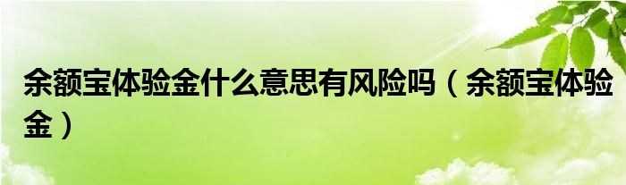 余额宝体验金什么意思有风险吗（余额宝体验金）