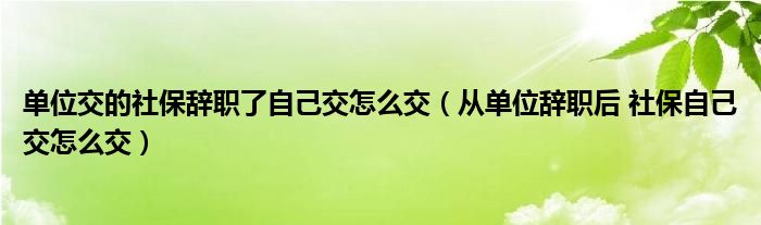 单位交的社保辞职了自己交怎么交（从单位辞职后 社保自己交怎么交）