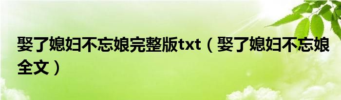 娶了媳妇不忘娘完整版txt（娶了媳妇不忘娘全文）