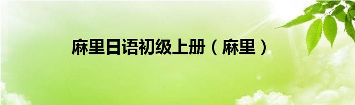 麻里日语初级上册（麻里）