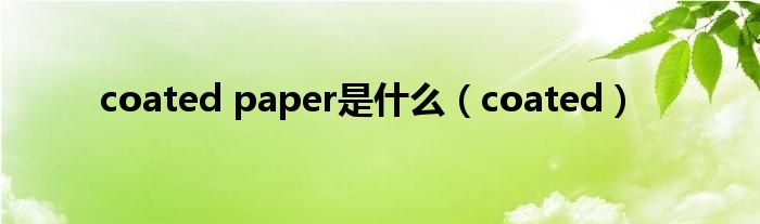 coated paper是什么（coated）