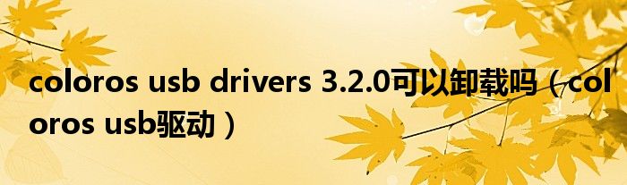 coloros usb drivers 3.2.0可以卸载吗（coloros usb驱动）