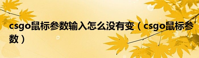 csgo鼠标参数输入怎么没有变（csgo鼠标参数）