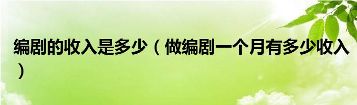 编剧的收入是多少（做编剧一个月有多少收入）